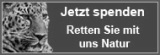 WWF allgemeine Spende