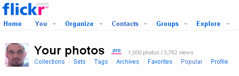 1000x flickr