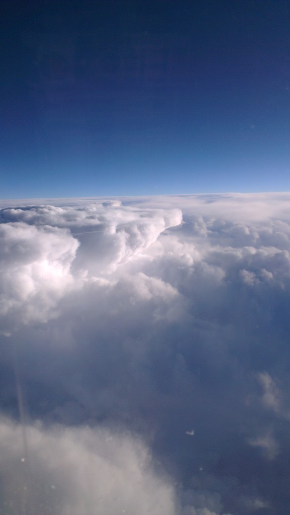 IMAG0529